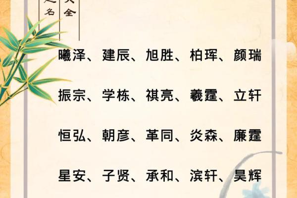 2019年5月22号卯时出生的男孩应该起什么样的名字姓名