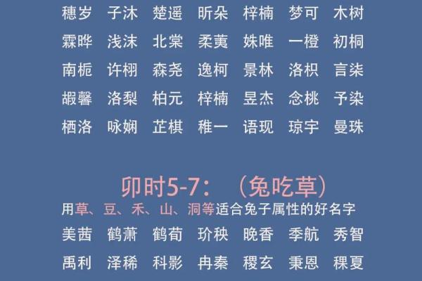 怎么样下午4点出生的属鼠男孩取名字姓名