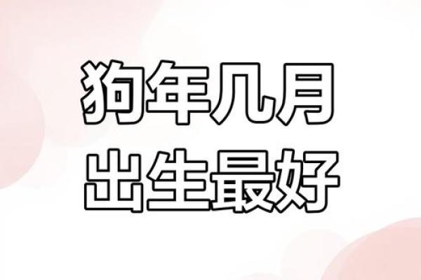 晚上十点出生的属狗男孩怎么取名，用什么字姓名