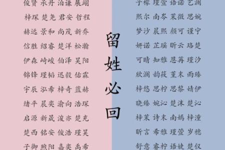 2019年4月4号丑时出生的男孩如何起名姓名