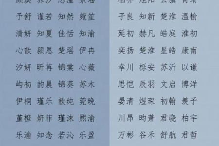 2019年4月11号子时出生的男孩如何起名姓名