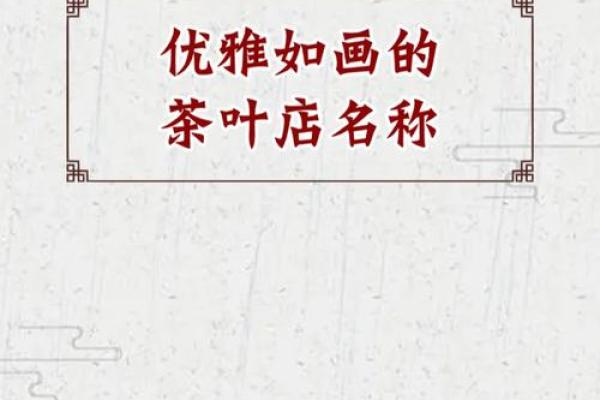 茶叶店名字大全-名字大全姓名