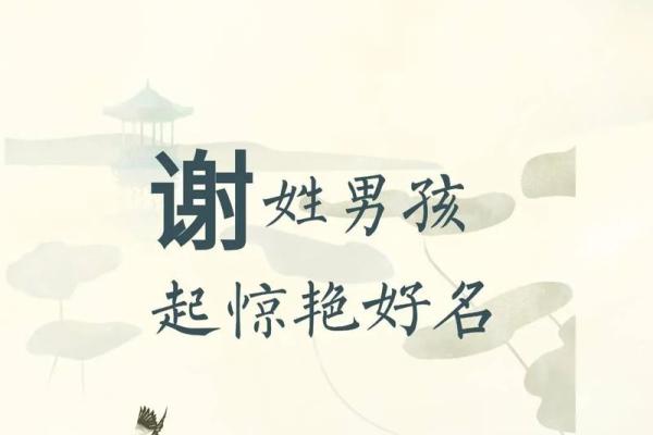 谢姓男孩名字大全-谢姓男孩起名字大全-谢姓名字大全姓名