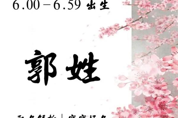2019年出生的姓郭男孩如何起名，宜用什么字姓名