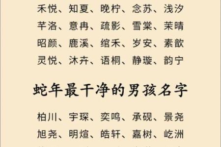 12月份出生的属蛇男孩起什么名字好姓名