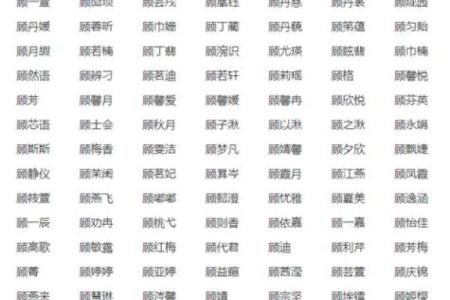 中午出生的属鸡男孩取名字用什么字合适姓名