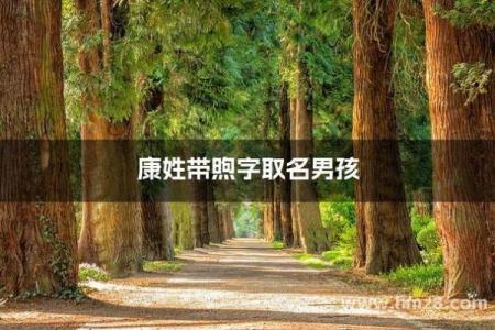 2019年4月15号子时出生的男孩如何起名姓名