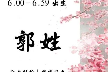 2019年出生的姓郭男孩如何起名，宜用什么字姓名