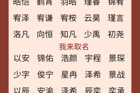 属蛇巳时出生的男孩应该如何起名，宜用什么字姓名