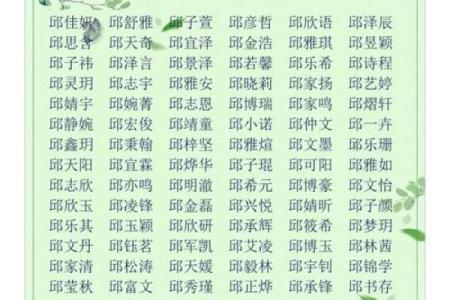 2019年3月23号卯时出生的男孩如何起名姓名