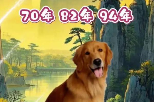 九月份出生的属狗男孩应该如何取名字姓名
