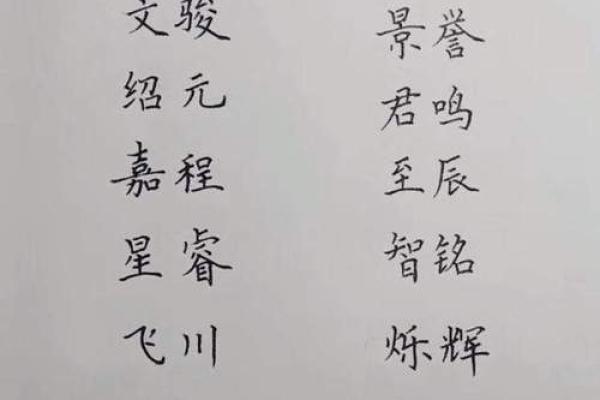 2019年3月20号辛时出生的男孩起名方法姓名