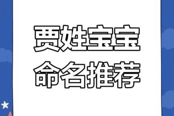 贾姓男孩名字大全-贾姓男孩起名字大全-贾姓名字大全姓名