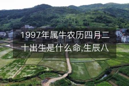 农历四月出生属牛女孩字起名大全,女孩命运解析姓名