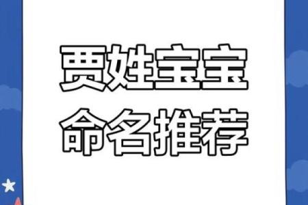 贾姓男孩名字大全-贾姓男孩起名字大全-贾姓名字大全姓名