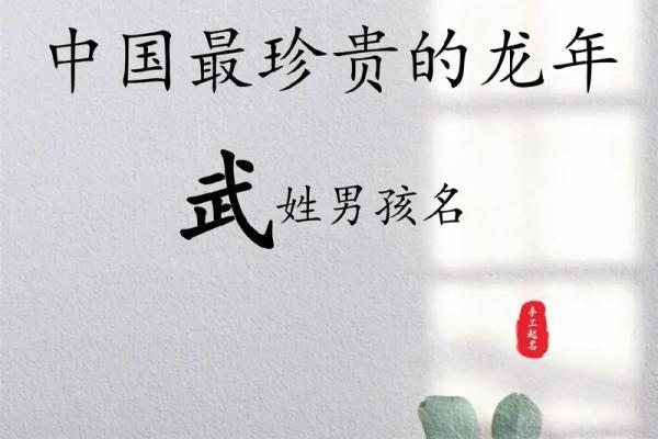 2019年3月30号未时出生的男孩起名方法姓名
