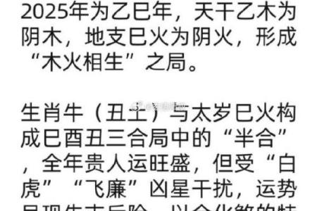 巳时出生的属牛男孩该取什么名字姓名