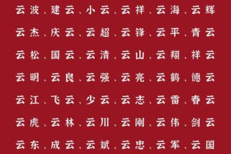 2019年3月30号未时出生的男孩起名方法姓名