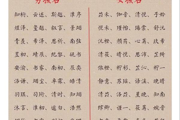 2019年3月28号亥时出生的男孩如何起名姓名