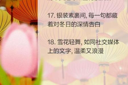 2019年大雪节气出生带雪字取名女孩名字，关于雪的唯美名字姓名