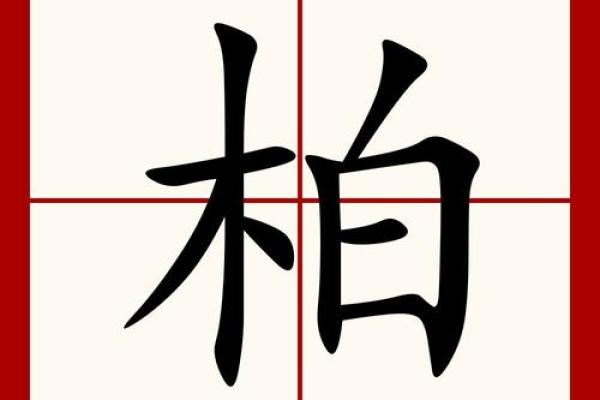 柏姓男孩名字大全-柏姓男孩起名字大全-柏姓名字大全姓名