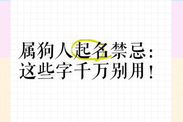 晚上出生的属狗男孩如何取名，应用什么字姓名