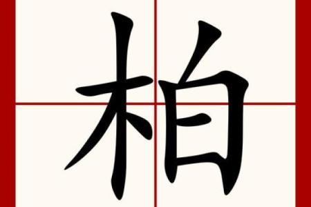 柏姓男孩名字大全-柏姓男孩起名字大全-柏姓名字大全姓名