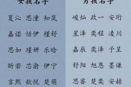 2019年4月23号卯时出生的男孩应该起什么样的名字姓名