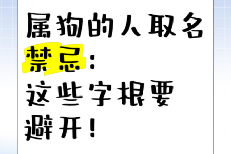 晚上出生的属狗男孩如何取名，应用什么字姓名