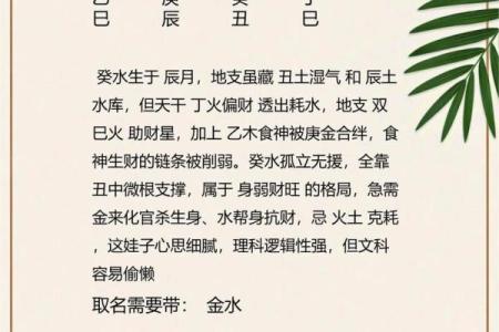 2019年4月4号辰时出生的男孩起名时要注意什么姓名