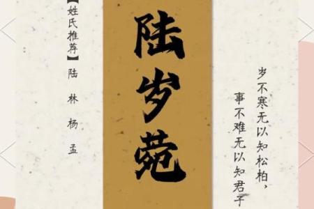 嵇姓女孩名字大全-嵇姓女孩起名字大全-嵇姓名字大全姓名