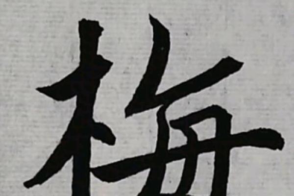梅姓男孩名字大全-梅姓男孩起名字大全-梅姓名字大全姓名