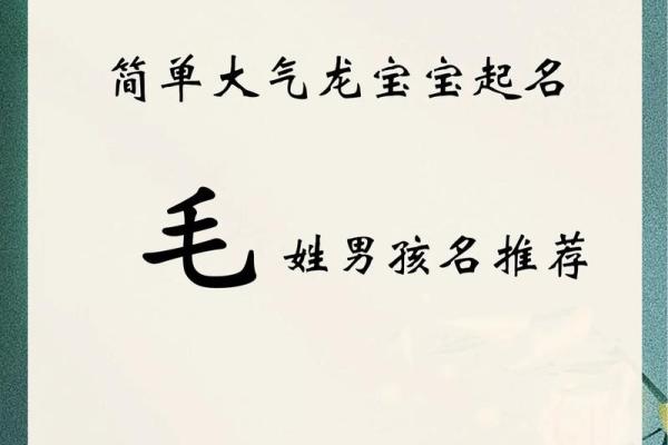 毛姓女孩名字大全-毛姓女孩起名字大全-毛姓名字大全姓名