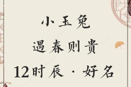 属狗卯时出生的男孩应该如何起名，宜用什么字姓名