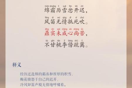 梅姓男孩名字大全-梅姓男孩起名字大全-梅姓名字大全姓名