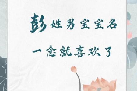 彭姓女孩名字大全-彭姓女孩起名字大全-彭姓名字大全姓名
