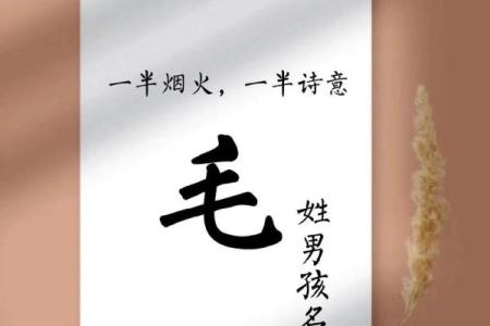 毛姓女孩名字大全-毛姓女孩起名字大全-毛姓名字大全姓名