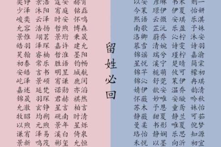 早上九点出生的属羊男孩起什么名，应用什么字姓名