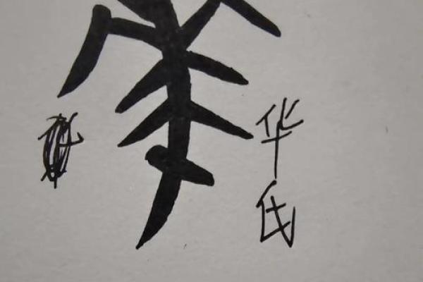 华姓男孩名字大全-华姓男孩起名字大全-华姓名字大全姓名
