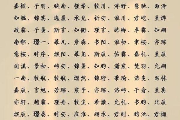 双胞胎男孩起乳名的方法和参考字有哪些-姓名学-华易网姓名
