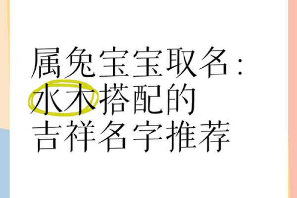 下午出生属兔的男孩应该怎么样取名字呢？姓名