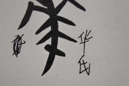 华姓男孩名字大全-华姓男孩起名字大全-华姓名字大全姓名