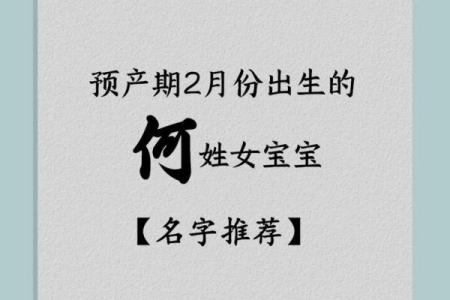 何姓女孩名字大全-何姓女孩起名字大全-何姓名字大全姓名