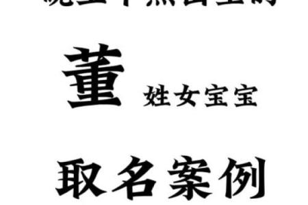 董姓男孩名字大全-董姓男孩起名字大全-董姓名字大全姓名