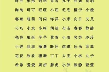 费姓男孩名字大全-费姓男孩起名字大全-费姓名字大全姓名