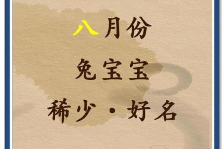 下午出生属兔的男孩应该怎么样取名字呢？姓名