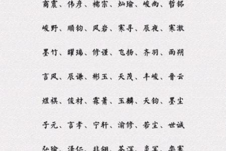 下午4点出生的属虎男孩起什么名，适合什么字姓名