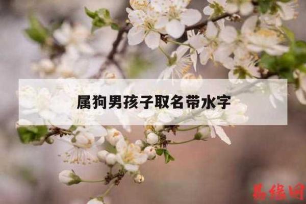 下午三点出生的属狗男孩如何取名，宜用什么字姓名