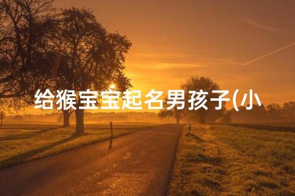 半夜出生的属猴男孩如何取名，适合什么字姓名
