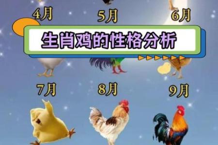 6月份出生的属鸡男孩怎么起名姓名